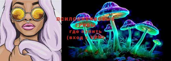 мдпв Бородино