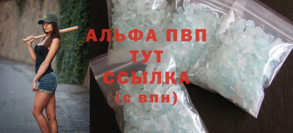 мдпв Бородино