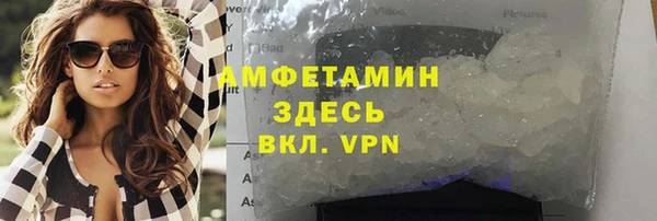 мдпв Бородино