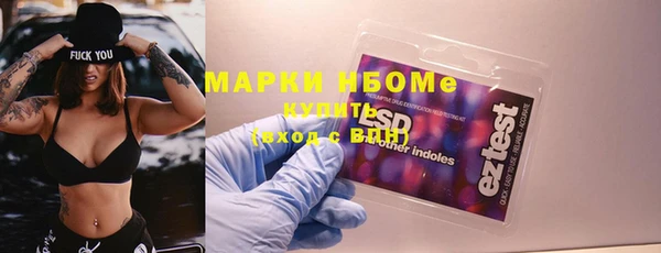 мдпв Бородино