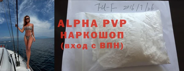 мдпв Бородино