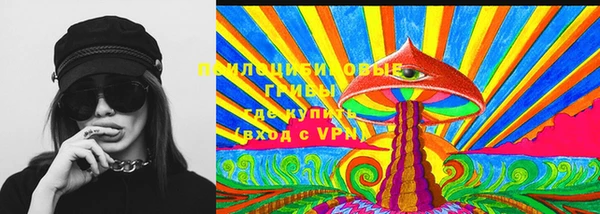 прущие грибы Семилуки