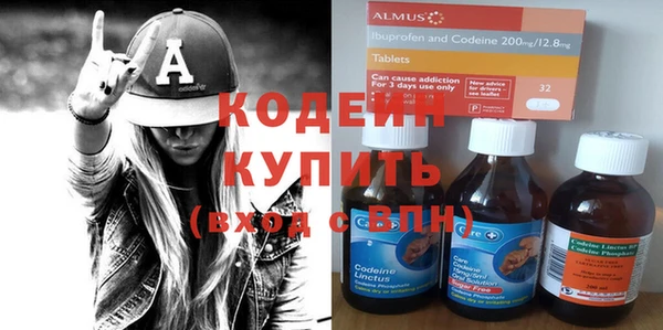 мдпв Бородино