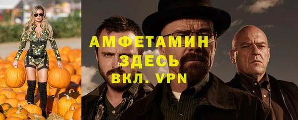 мдпв Бородино