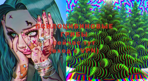 мдпв Бородино
