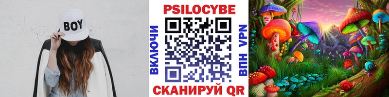 Псилоцибиновые грибы Psilocybe  дарк нет официальный сайт  Афипский 
